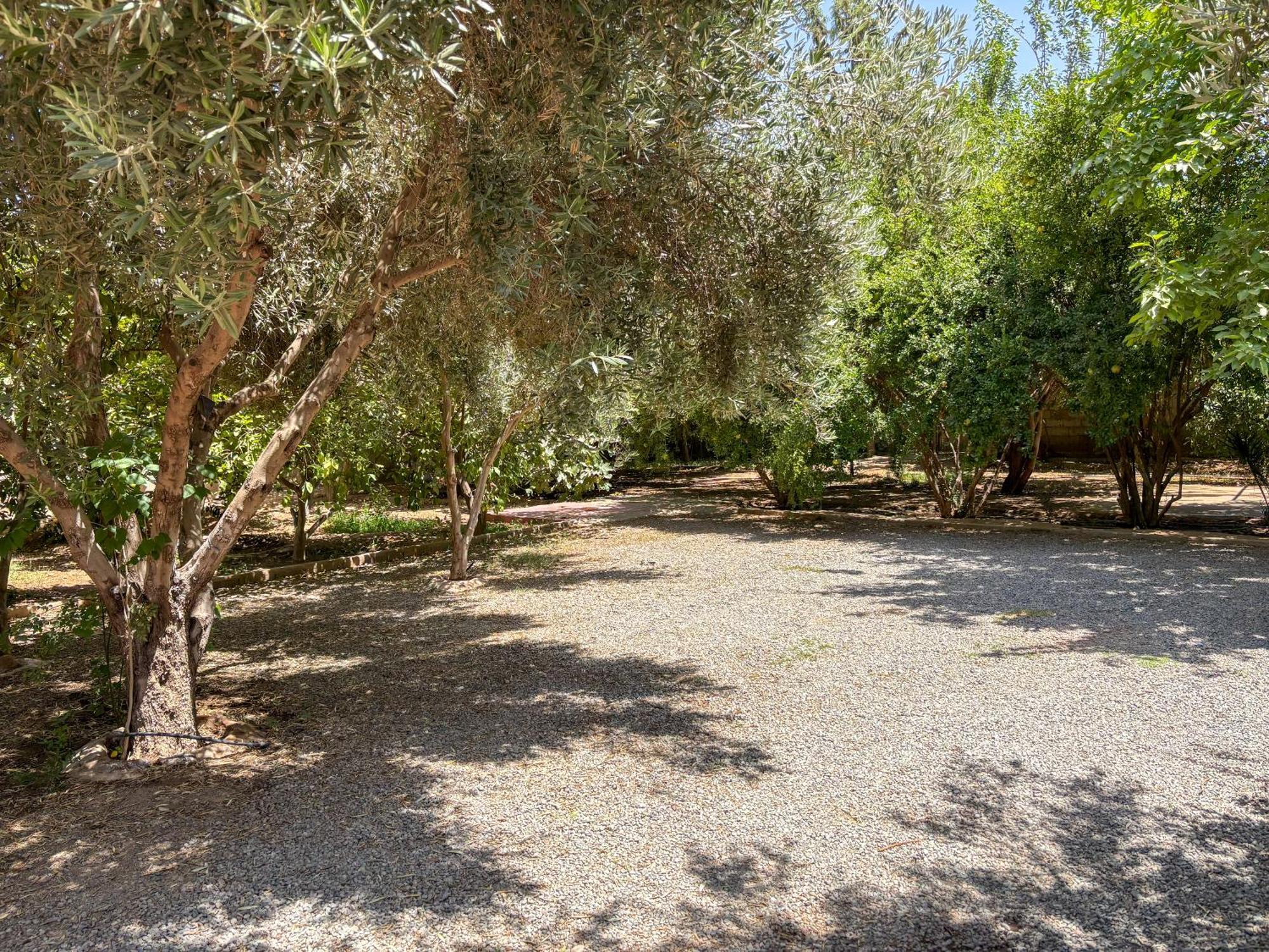 Le Bleu House Bed & Breakfast Sidi Abdallah Ghiat Dış mekan fotoğraf
